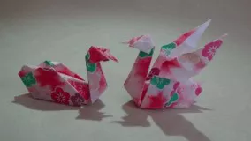 origami【swan folding wings】