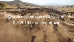 دانلود انیمیشن شیرشاه 2019 the lion king