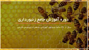 آموزش جامع زنبورداری -www.118file.com