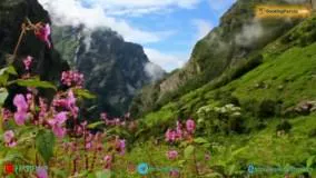  دره گلها ارمنستان، میعادگاه عاشقان طبیعت - بوکینگ پرشیا bookingpersia