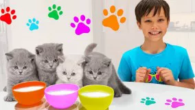 مکس و کتی ؛
 بازی مکس و کتی با بچه گربه ها