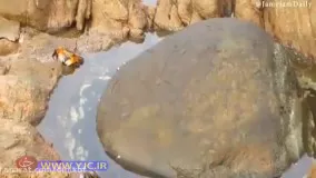 شکار شدن یک خرچنگ توسط اختاپوس در بیرون از آب