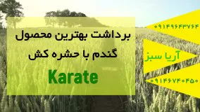 ضربه فنی آفات در مزارع گندم با حشره کش کاراته | Karate