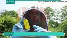 تغذیه زنبور عسل | روش های ادغام کندو