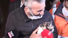 استرس گربه ترکیه‌ای پس از وقوع زلزله ازمیر