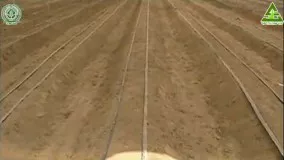 آزمایش آب و خاک شرکت کشاورزی حاتم