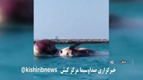 دومین لاشه نهنگ در ساحل کیش