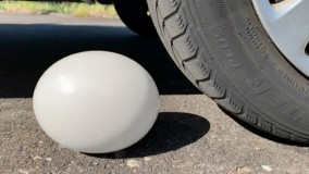 خرد کردن چیزهای ترد و نرم با ماشین : ماشین در مقابل تخم مرغ بزرگ