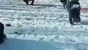 بچه های ابتدایی در سردترین کلاس درس ایران / معلم و دانش آموزان روی برف نشستند