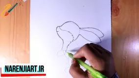 آموزش نقاشی کودک - نقاشی حیوانات