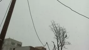 بارش برف بهاری در قروه کردستان