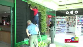 اجرای دیوار سبز در محیط عمومی و تجاری(مجتمع تجاری الماس شرق مشهد)