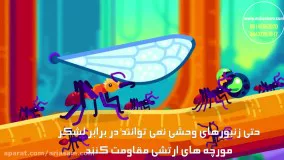 نبرد مورچه ارتشی و زنبور وحشی - قویترین سم مورچه