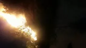آتش سوزی در بوستان خوارزمی تهران