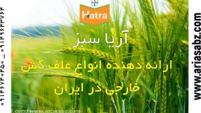 هاترا علف کش تخصصی برای علف هرز مزرعه گندم | Hatra