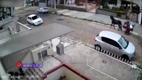 دزدی که به کاهدان زد ؛ شلیک پلیس به سارقی که قصد دزدیدن ماشینش را داشت