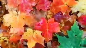 کلیپ عاشقانه فصل پاییز | آهنگ هوای تو چه ابریه