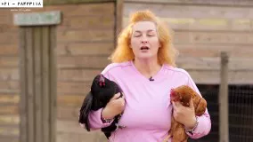پرورش مرغ-پرورش جوجه مرغ در خانه-5 اقدام برای جلوگیری از توقف تخم گذاری