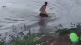 حمله وحشتناک تمساح به یک شناگر