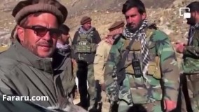 کنایه فرمانده مقاومت پنجشیر به طالبان با یک الاغ !