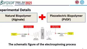 1046- Piezoelectric Electrospun Nanofibrous Materials for Tissue Engineering Applications