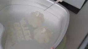 آموزش ساخت گل برای کیک ژله ای سه بعدی