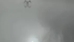 فرود آمدن قو در فضای مه آلود سد کوثر گچساران
