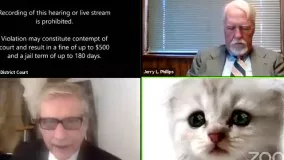 وکیل با فیلتر گربه در جلسه آنلاین دادگاه !