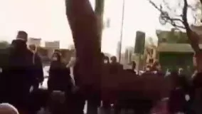 صف عجیب مرغ در تهران