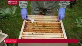 آموزش نصب تهویه مطبوع در کندو زنبور عسل