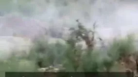 هجوم اولین دسته ملخ ‌های صحرایی در خوزستان