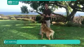 آموزش تربیت سگ - trbiat SAG- amozsh dnbal top dvidn