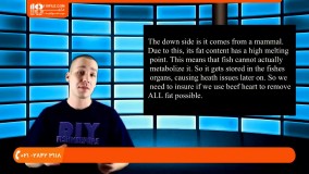 آموزش پرورش ماهی زینتی | غذادهی به ماهی دیسکس