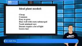 آموزش طراحی آکواریوم گیاهی - حذف نیترات آکواریوم