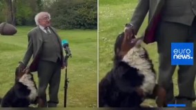 شیطنت سگ رئیس‌ جمهور ایرلند سوژه شد