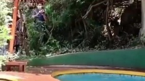 آب‌ بازی جالب میمون‌ ها در استخر