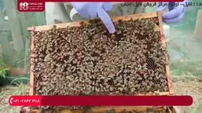 آموزش زنبورداری - روش بررسی سوپر برای عسل آماده