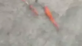 شنای ماهی‌ ها در پیاده‌روی سیل‌ زده در چین !