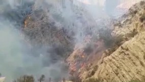 آتش‌ سوزی گسترده در جنگل‌ های کوه نارک گچساران