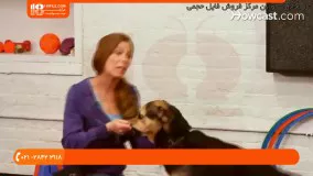 سگ-تربیت سگ-تربیت سگ خانگی-آموزش دست دادن به سگ