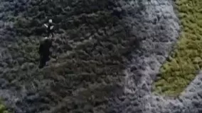 ویدیویی زیبا از طراحی سه بعدی غول پیکر بر دامنه کوهستان آلپ توسط هنرمند فرانسوی