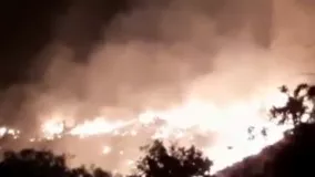 آتش‌ سوزی‌ها در زاگرس باز هم قربانی گرفت