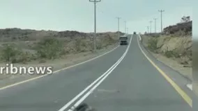 ویدئوی دلخراش از تصادف الاغ وحشی در جاده اهواز