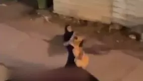 شیر وحشی به جای حیوان خانگی در آغوش دختر ایرانی