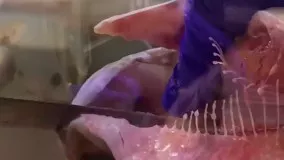 خالی کردن حرفه ای شکم ماهی به سبک پاژ