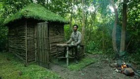 ساخت خانه رویایی جنگلی