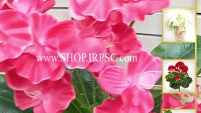 انواع شاخه گل مصنوعی آمالیس صورتی پر رنگ| فروشگاه ملی