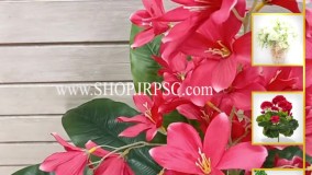 انواع شاخه گل مصنوعی آمالیس قرمز رنگ | فروشگاه ملی