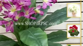 انواع شاخه گل مصنوعی آمالیس بنفش | فروشگاه ملی