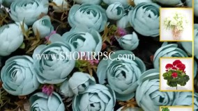 انواع  بوته گل مصنوعی پیونی آبی رنگ | فروشگاه ملی